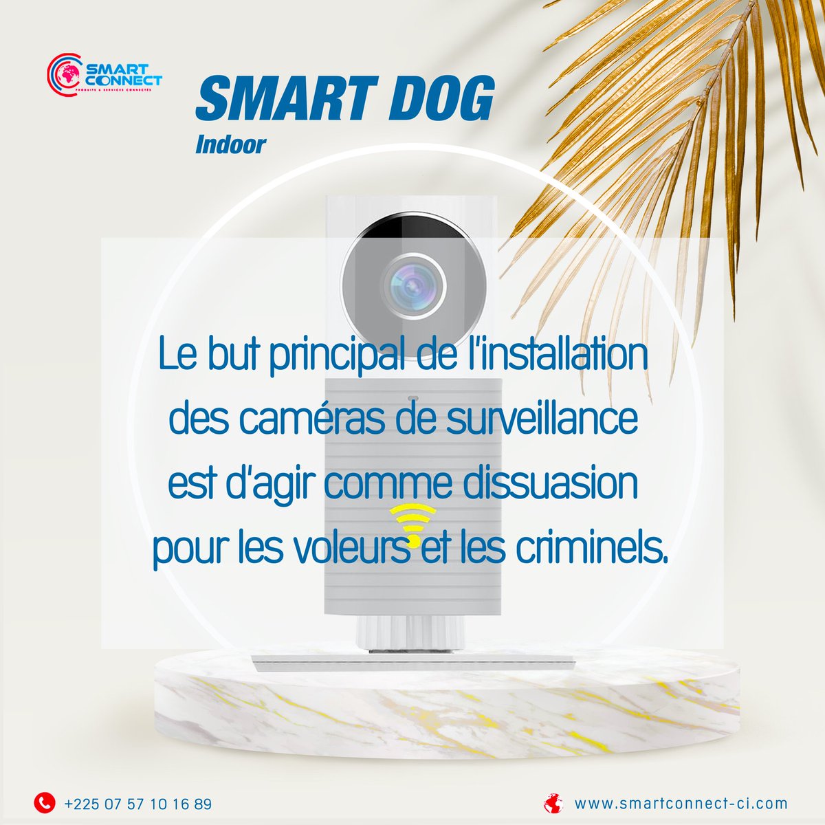 Smart_connect1's tweet photo. On s'informe ?
https://t.co/s34pkVp2mP
Cote d’Ivoire : (+225) 07 57 10 16 89/ 27 22 59 14 53
Bénin :(+229) 91 79 42 55/ 52 92 76 77
#SolutioninformatiquesetTelecom
#INTERNETAUTREMENT https://t.co/Cv29DPMJm6