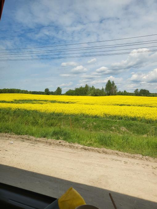 sneksucks tweet media