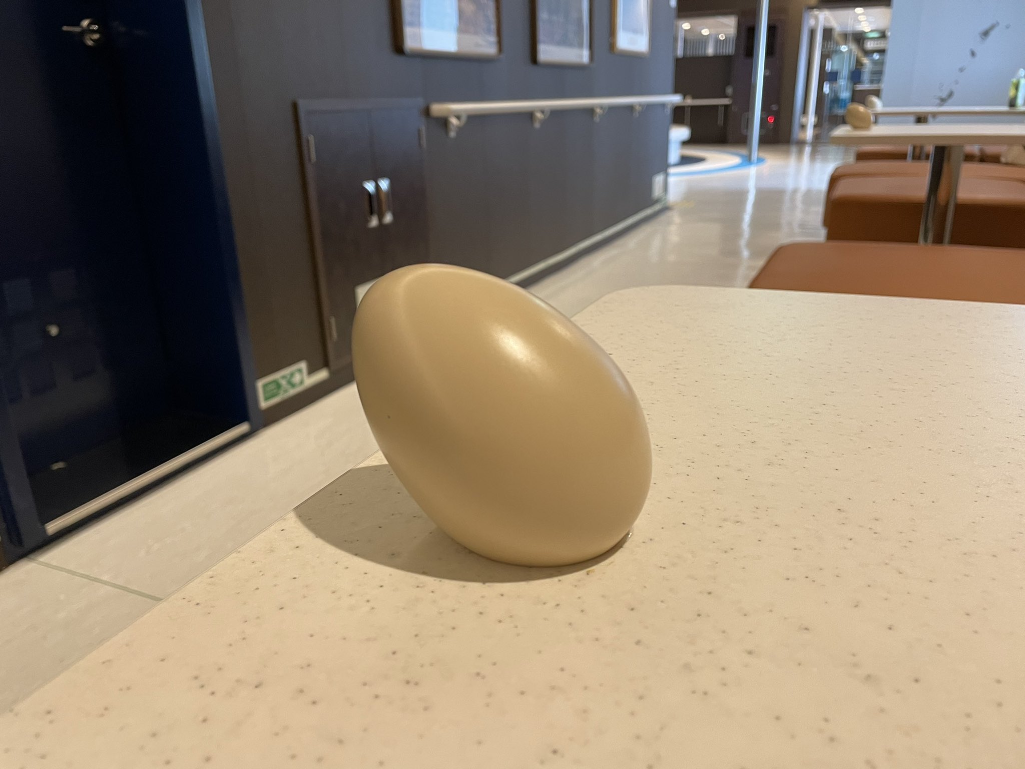 PUNIP cruises（プニップ・クルーズ） on Twitter 