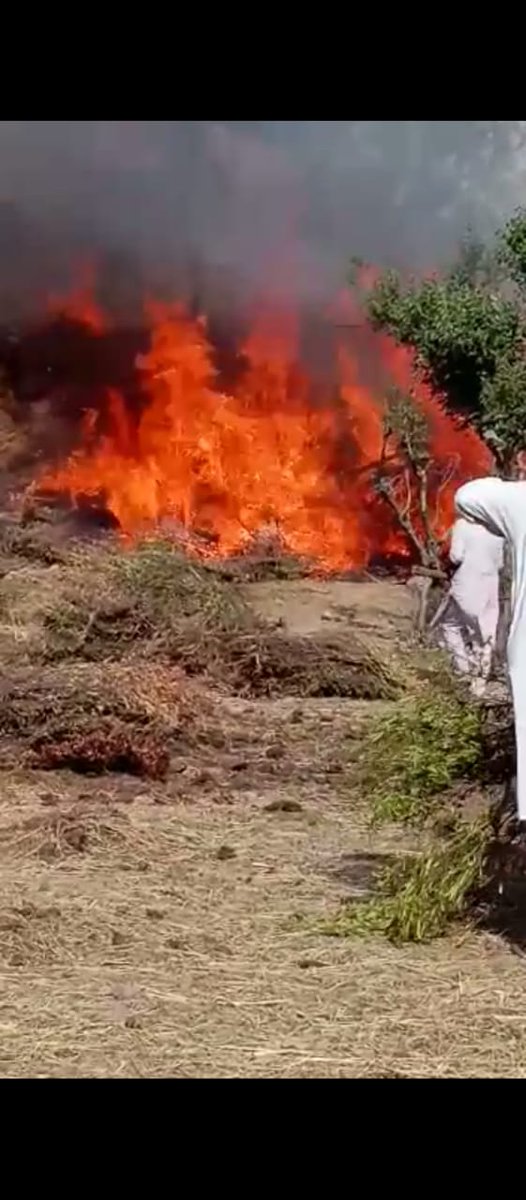 QasimTanoli_'s tweet photo. تحصیل مانسہرہ  تناول کے پہاڑوں کو آگ کے شعلوں نے آج  تیسرے دن سے  اپنی لپیٹ میں لیا ہوا ہے  جس سے  ویلج کونسل سہیکی کے گاؤں دنسیری میں عوام کا کافی مالی نقصان ہو گیا ہے تناول کا کوٸی ایک ادھا ہی پہاڑ ہوگا جو بچا ہوگیا آگ سے باقی پورے تناول کے پہاڑ آگ کی نظر ہوگیے https://t.co/yzDIhRFmpa