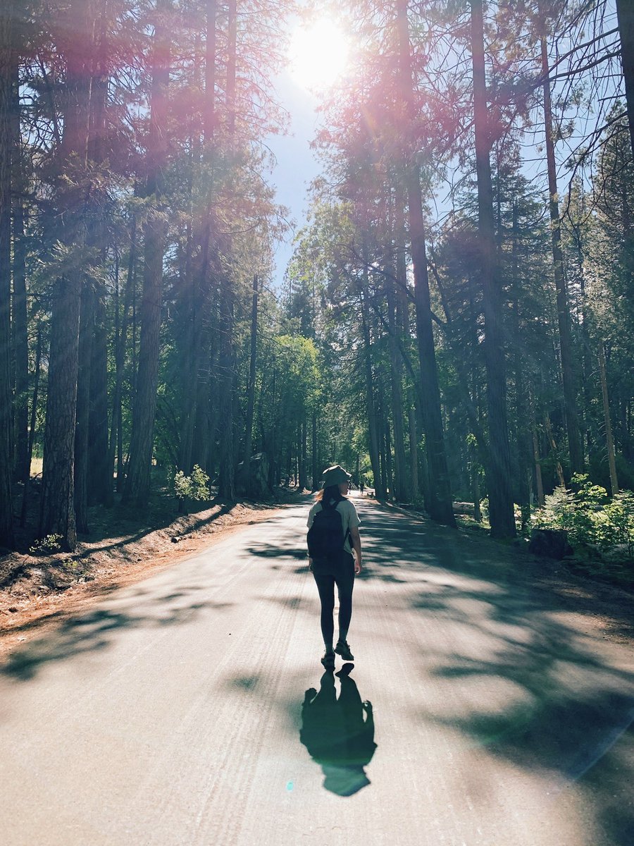 Esther Jingxin Yip tweet media