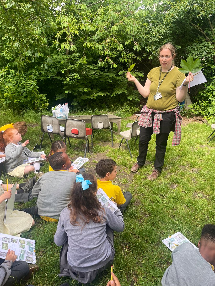 mr_heming's tweet photo. We’ve been learning about #deciduous and #evergreen trees and identifying different species of trees around the @ReayPrimary garden 🍃 #outdoorlearning #naturalthinkers @ConnieBOReay https://t.co/9tssLdPf5u