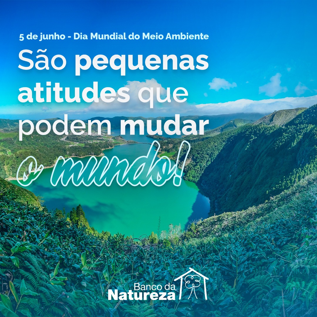 BancoDaNatureza's tweet photo. 🍃No dia 05 de junho, foi comemorado o "Dia Mundial do Meio Ambiente", data celebrada há 50 anos no mundo, visando promover reflexão sobre nossas escolhas no espaço que vivemos. Esta é uma data muito importante para nós. 
#meioambiente https://t.co/CWNsLoHS46