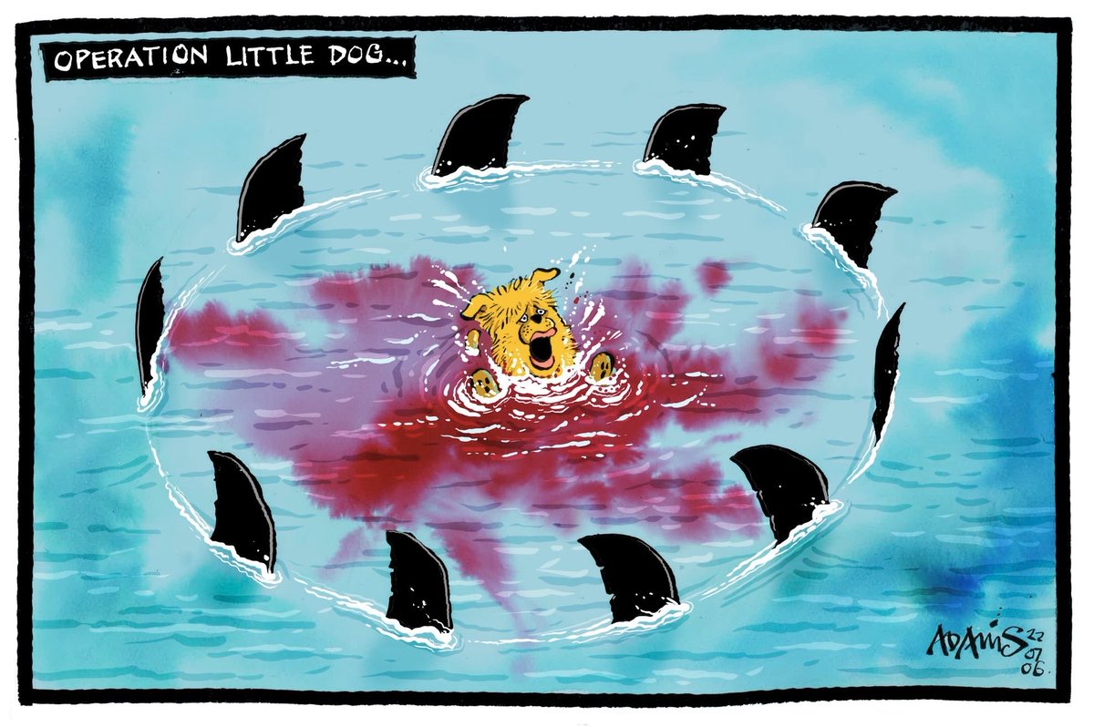 torysleazeUK's tweet photo. Christian Adams on #BorisJohnson #BorisJohnsonMustResign #NoConfidence #NoConfidenceVote #BackbenchRevolt - political cartoon gallery in London https://t.co/S1KmDAG5ZC https://t.co/bWmNpoTuXZ https://t.co/ajUWyXh6RK FOLLOW TO SUPPORT @torysleazeUK https://t.co/SLibVTFsrQ