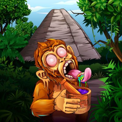 Bitmaster Flash tweet media