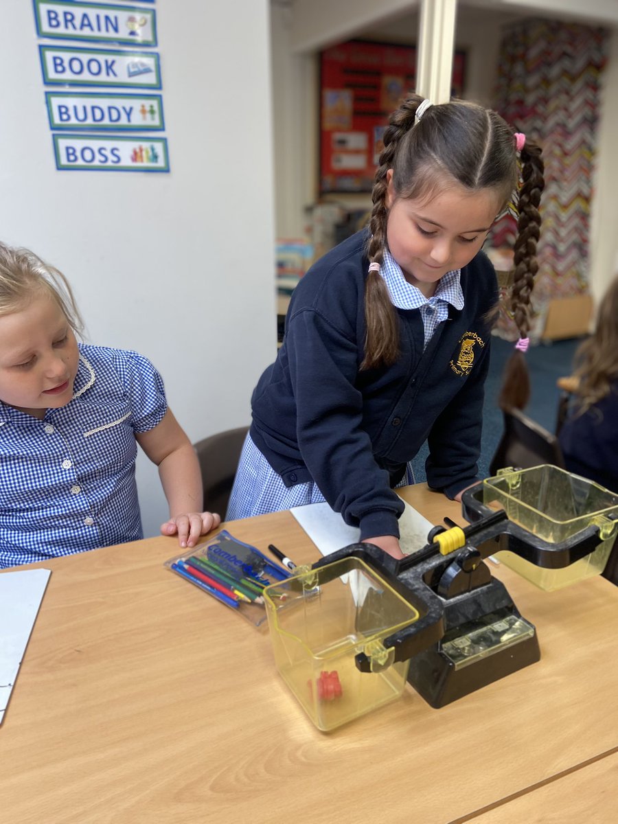 Mrs Buckley tweet media