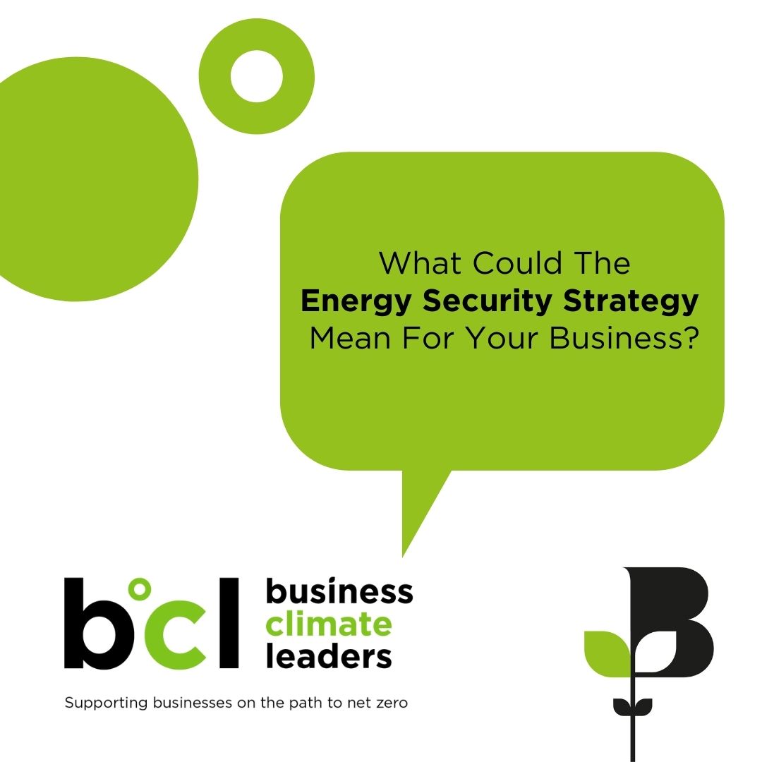 Now the #EnergySecurityStrategy has been in the public eye for a few months, have you made any moves around making your business go #green? There's plenty of ways to benefit.

If you're putting your business on the path to #NetZero, our resources can help: norfolkchamber.co.uk/business-clima…