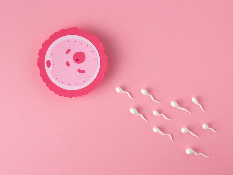 ColumbaresONG's tweet photo. ¿Sabes que la baja fertilidad o la infertilidad puede producirse tanto en hombres♂️ como en mujeres♀️?
En #MamisDelMundo han recopilado una serie de consejos para prevenirla, descúbrelos 👇🏽
https://t.co/VHAgYwA5ft
#DíaMundialDeLaFertilidad
Financia: @GVAinclusio https://t.co/TuAN2k4Zdx