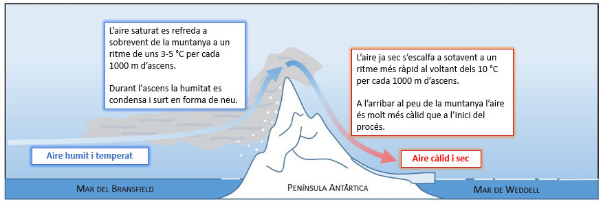 Divulcat (@divul_cat) on Twitter photo NOU | "Les onades de calor a l'Antàrtida, més intenses degut al canvi climàtic"
Article del doctor en Física Sergi González (<a href="/sergimet/">Sergi Gonzàlez</a>) al seu blog METEOROLOGIA, DE LA MEDITERRÀNIA A L'ANTÀRTIDA #Divulcat
enciclopedia.cat/divulcat/Sergi… NOU | "Les onades de calor a l'Antàrtida, més intenses degut al canvi climàtic"
Article del doctor en Física Sergi González (<a href="/sergimet/">Sergi Gonzàlez</a>) al seu blog METEOROLOGIA, DE LA MEDITERRÀNIA A L'ANTÀRTIDA #Divulcat
enciclopedia.cat/divulcat/Sergi…