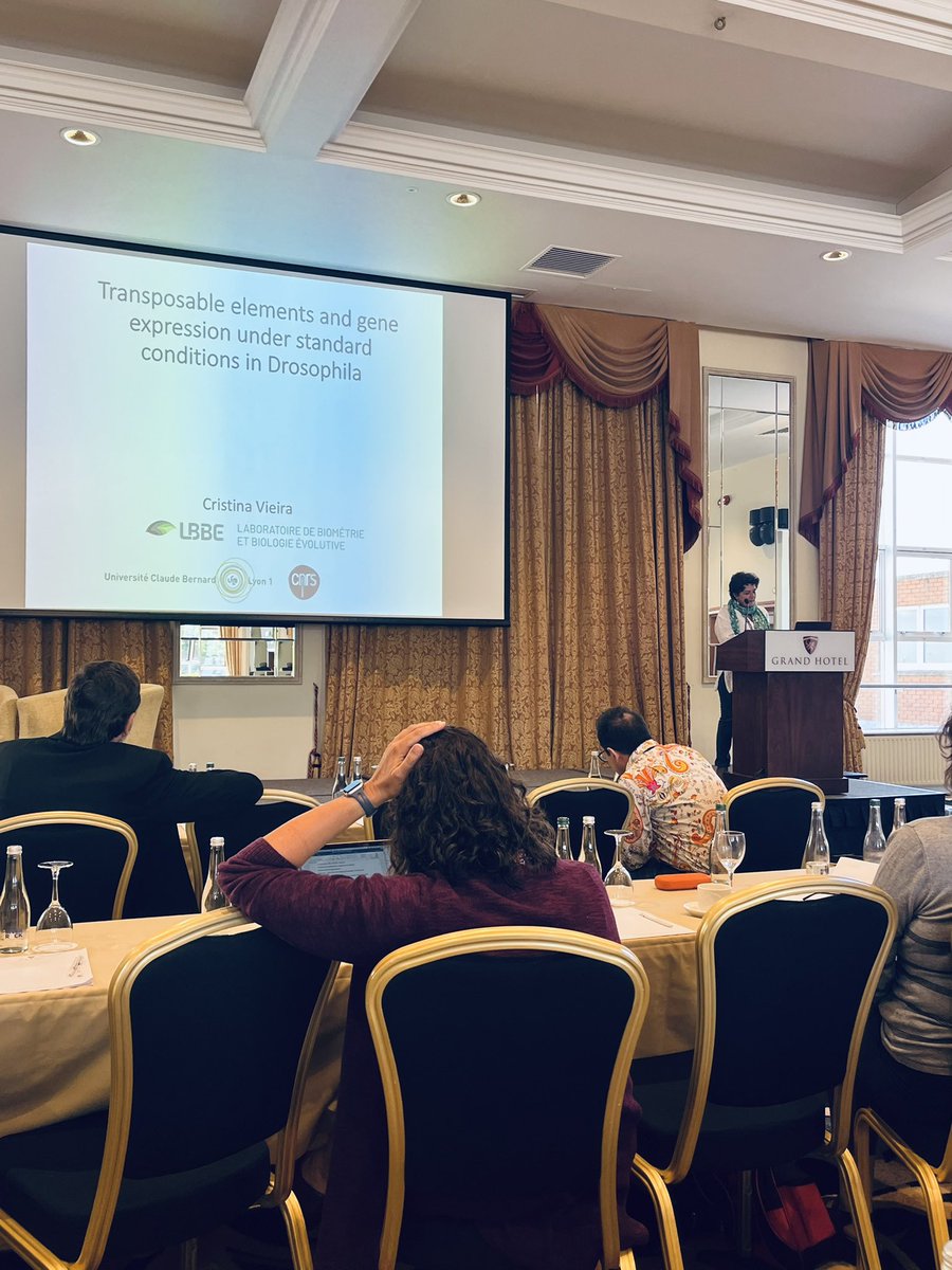 <a href="/TreepVieira/">Cristina Vieira</a> did a great talk about the presence of transposable elements inside/nearby genes and their respective effects on gene expression, between Drosophila populations and species adapted to different environments! #DNASRC22
