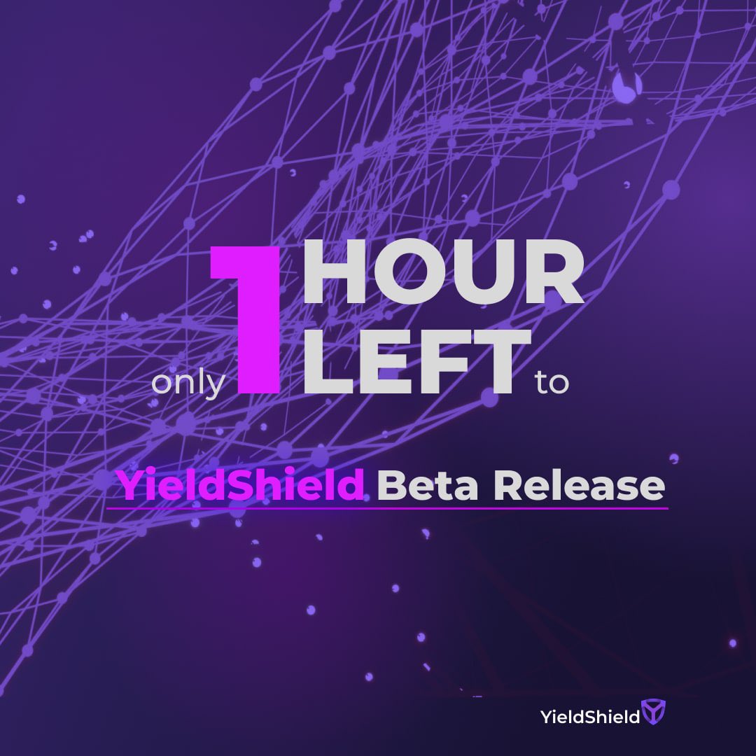 Only 1 hour left until YieldShield Beta Release!
Are you ready?