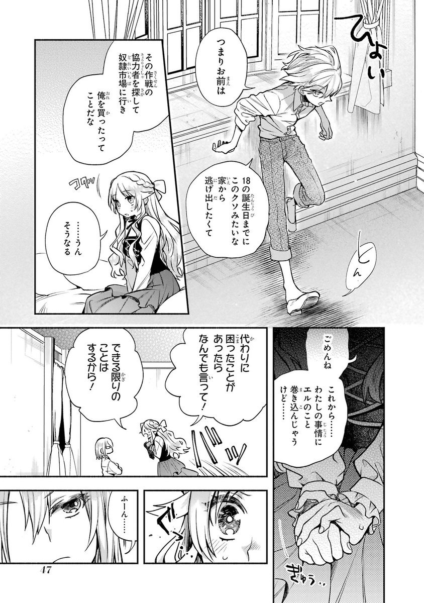 お人よし令嬢が美少年の奴隷を買って、二人で幸せになる話(11/12) 