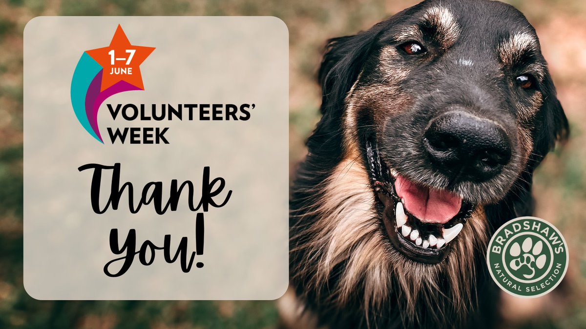 BradshawsDogs's tweet photo. Today marks the end of #VolunteersWeek2022, we wanted to shout a big THANK YOU to all involved in rescue centres from the home checkers to the dog walkers - you are a valued and essential part of all rescue centres❤️
#thankyou #sharethelove #volunteers  #volunteersmakeadifference https://t.co/5bReFvT5n3