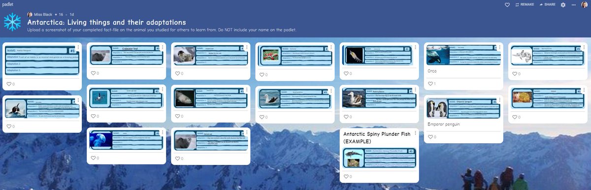 S2 researched a variety of Antarctic animals &amp; their adaptations - couldn't help but be impressed at the speed pupils were able to pull together some research and share with their classmates. Thanks <a href="/padlet/">Padlet</a> ! #geographyteacher <a href="/BerthaParkSoc/">Bertha Park Social Subject & RMPS</a> #digitallearning #sl #ec 🐧🌐🧊❄️
