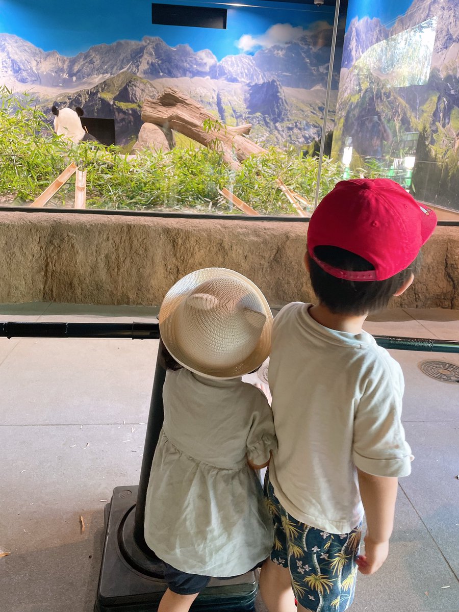 ricchhan's tweet photo. 5月29日🐼
裸眼デビュー。w
もうそろ1ヶ月たつ。w
高一からほぼ毎日付けてたのに辞めれたw https://t.co/VYbyy36hVS