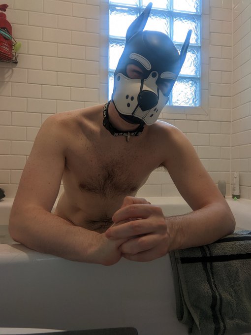 Pupper bath time 😎 https://t.co/wwBui0X9Tn<a href="/tag/bdsm"class="tags"><span>#bdsm</span></a><a href="/tag/chastity"class="tags"><span>#chastity</span></a><a href="/tag/ftm"class="tags"><span>#ftm</span></a><a href="/tag/packer"class="tags"><span>#packer</span></a>
