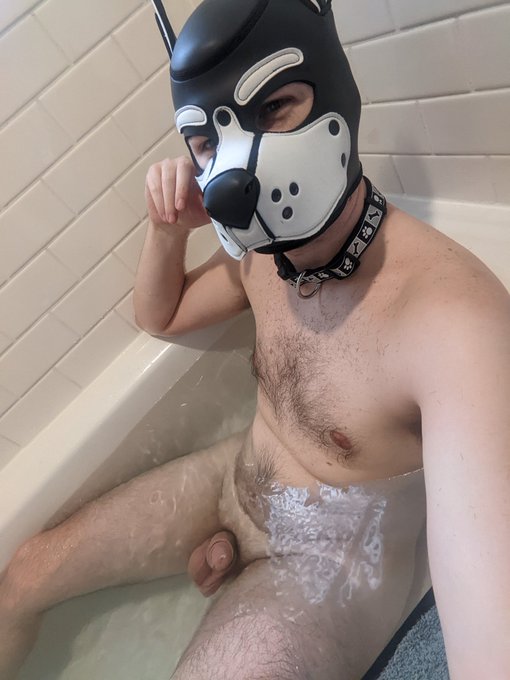Pupper bath time 😎 https://t.co/wwBui0X9Tn<a href="/tag/bdsm"class="tags"><span>#bdsm</span></a><a href="/tag/chastity"class="tags"><span>#chastity</span></a><a href="/tag/ftm"class="tags"><span>#ftm</span></a><a href="/tag/packer"class="tags"><span>#packer</span></a>