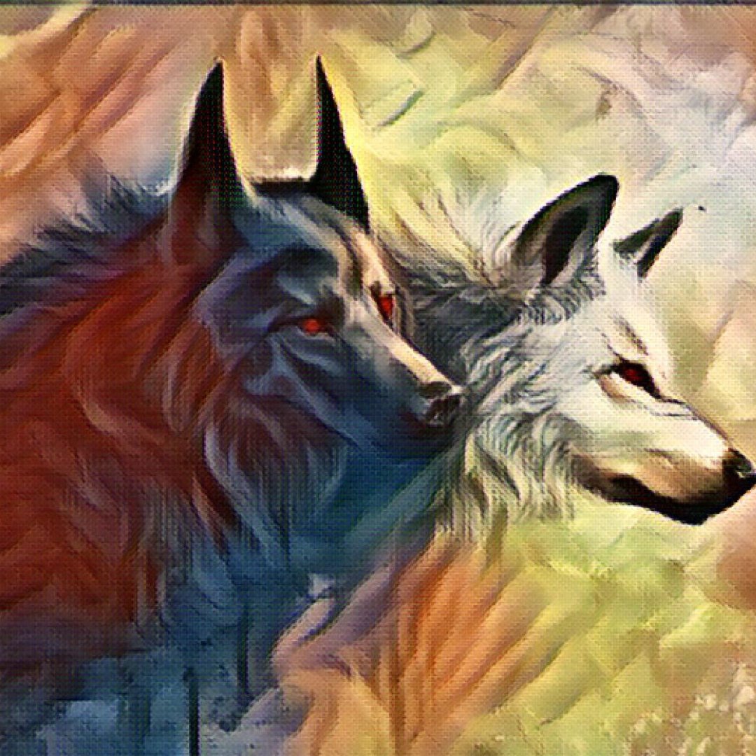 black and white wolf.
a couple of wolves. one's color is white, someone's color is black. two wolves have war marks on their face

<a href="/Aresgiller34/">wolf#439095293</a>
#SolanaNFT #solnft #SolanaCommunity #solana #nftendonezya .
#NFTTopluluk #nftart .
opensea.io/account