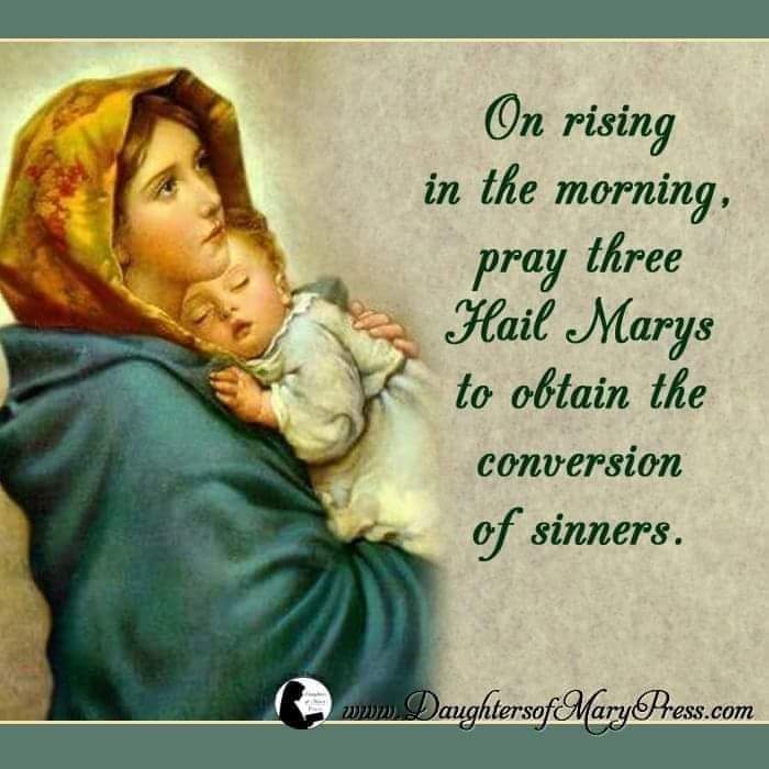 HenricksMelly's tweet photo. On rising in the morning, pray three Hail Marys to obtain the conversion of sinners. https://t.co/u2VpqAcmgW