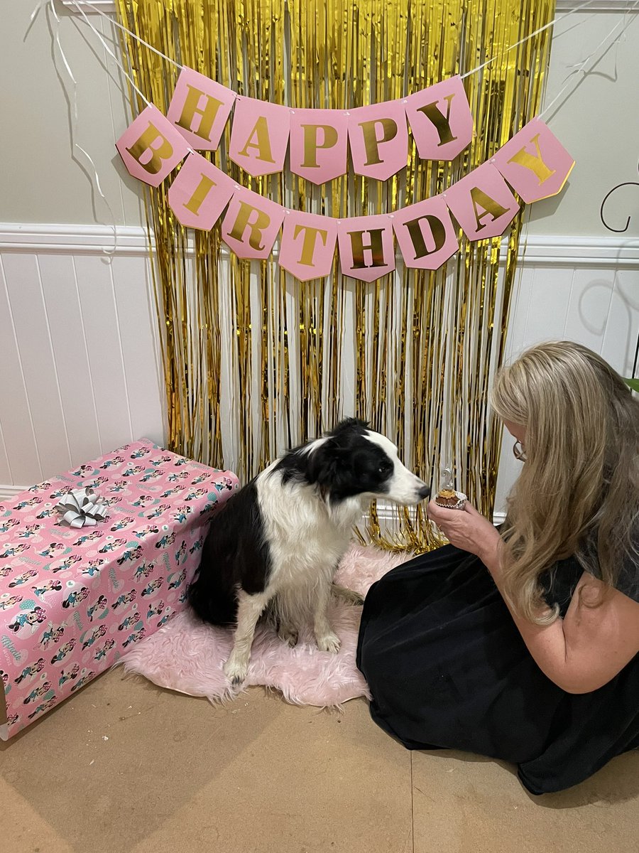 AngeB & Augie 🐶 tweet media