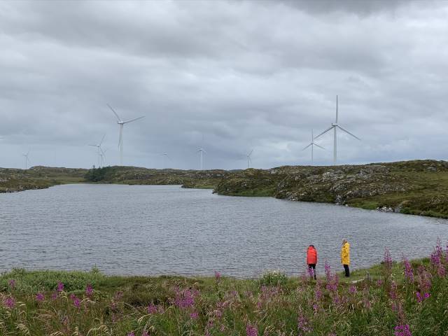 NINA naturforskning tweet media