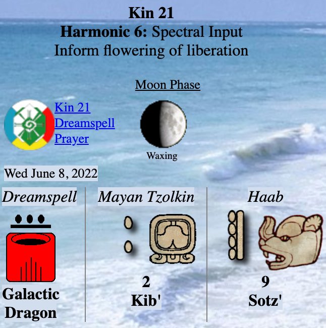 Tex369X's tweet photo. Tuesday 6.7.2022 - #Kin20
Long Count 0.0.9.10.15
moon:12 day:9
#YELLOWRESONANTSUN
I channel in order to enlighten
Inspiring life
I seal the matrix of universal fire
With the resonant tone of attunement
I am guided by the power of free will
I am a galactic activation portal https://t.co/5x6hGsCMxJ