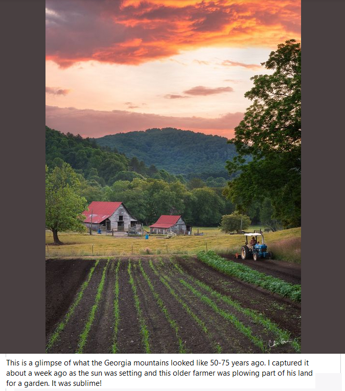 HankCasey5's tweet photo. There is something about the simple bucolic splendor of rural areas that is unparalleled. Scenes like this are just a perfect portrayal of that life. Being away from the hustle and bustle of everything is one of the greatest blessings that life has to offer. (Click to expand) https://t.co/GmuRvGEQyH