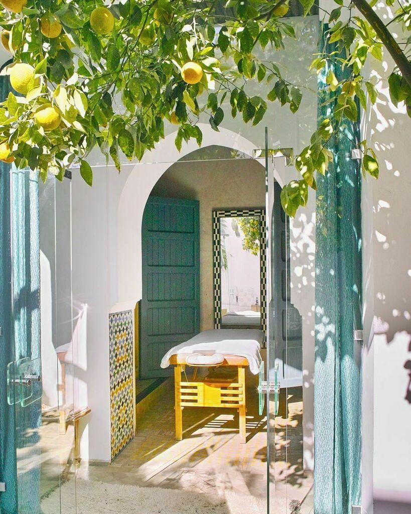 ryaddyor tweet media