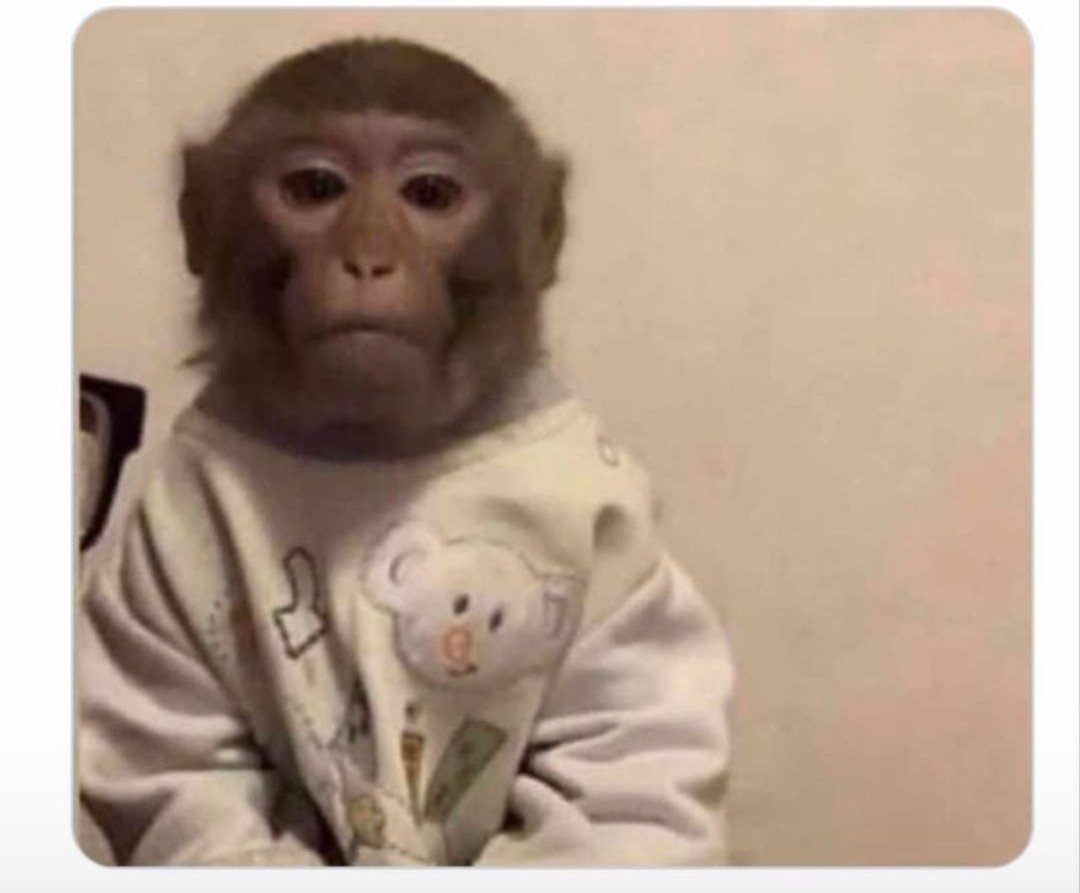 LOmopelong's tweet photo. @RoseMon43482575 Why am I seeing this tweet more especially when I relate to it?😭😭🤣 yhoooo! I'm hurting so much😭🤣 https://t.co/ZcqTv8q0Oc