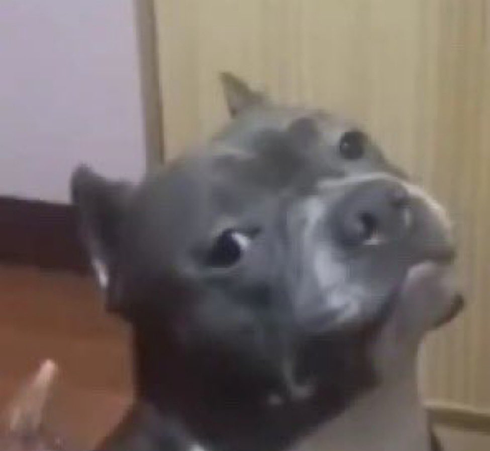 HeFromDuval's tweet image. #loosing