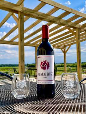 Parallel44's tweet image. 🍇🥶 Fruits of the Frozen Tundra aren't going to drink themselves! 🥂 Grab a group or loved one and come enjoy the tastes of winter on a warm day.🌞44wineries.com #doorcounty #wisconsin #greenbay