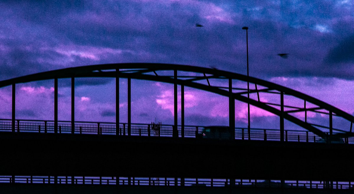 時町 空 tweet media