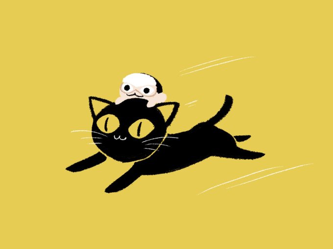 くろねこに乗ってうちに向かってらっしゃるらしい! 