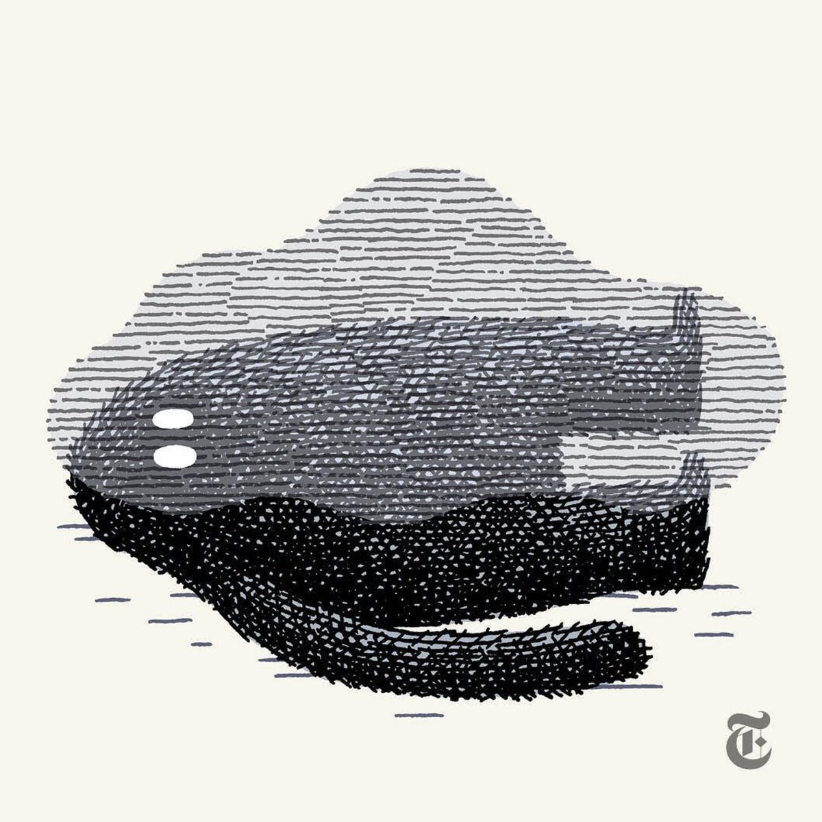 tomgauld's tweet photo. These images are illustrations for a @nytkids Mental Health piece on 'How to get through a big loss'. You can see the whole thing on their instagram: https://t.co/TW4jzqi2Gu https://t.co/MG1mgurRfO