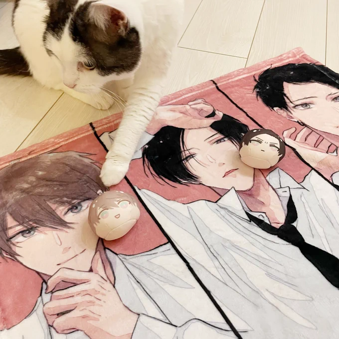 鬼暴ミニブランケット是非GETしてください〜ふわふわです🐶👹🍑

#とらBLコミックフェア2022
#鬼上司・獄寺さんは暴かれたい。 https://t.co/hefp7FdMaS 