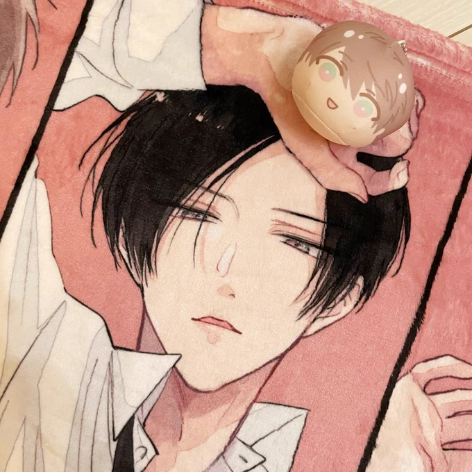 鬼暴ミニブランケット是非GETしてください〜ふわふわです🐶👹🍑

#とらBLコミックフェア2022
#鬼上司・獄寺さんは暴かれたい。 https://t.co/hefp7FdMaS 