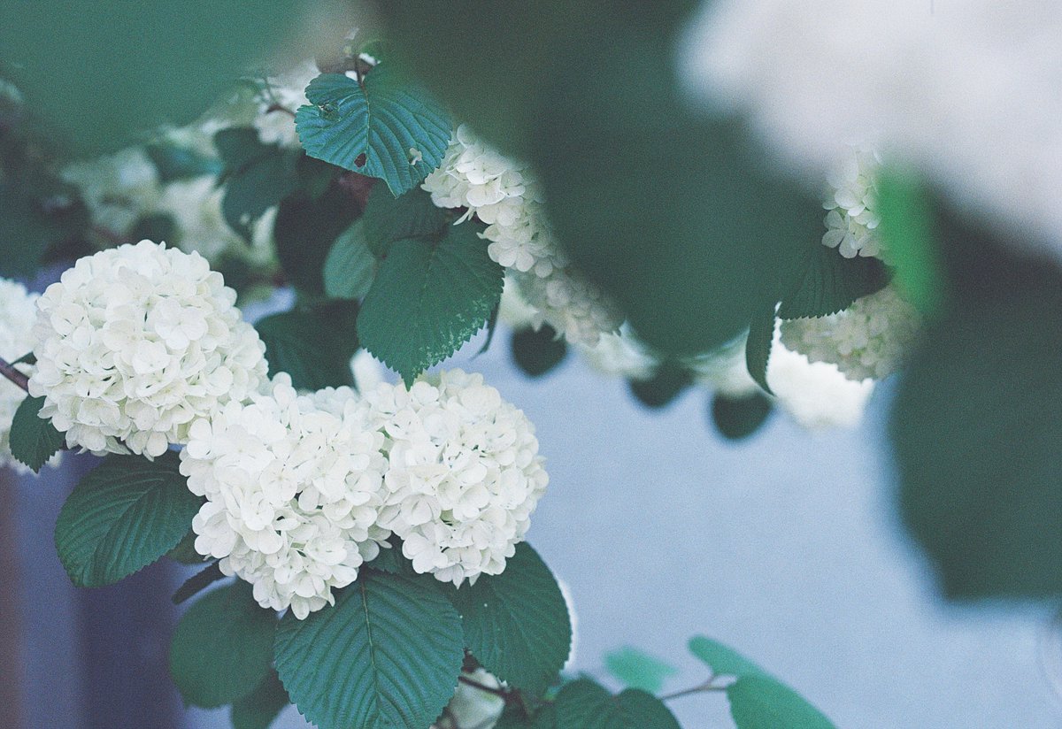 おはようございます