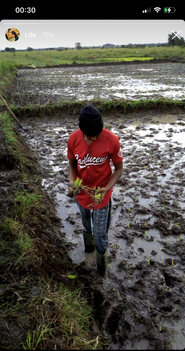 AMRI IFX tweet media