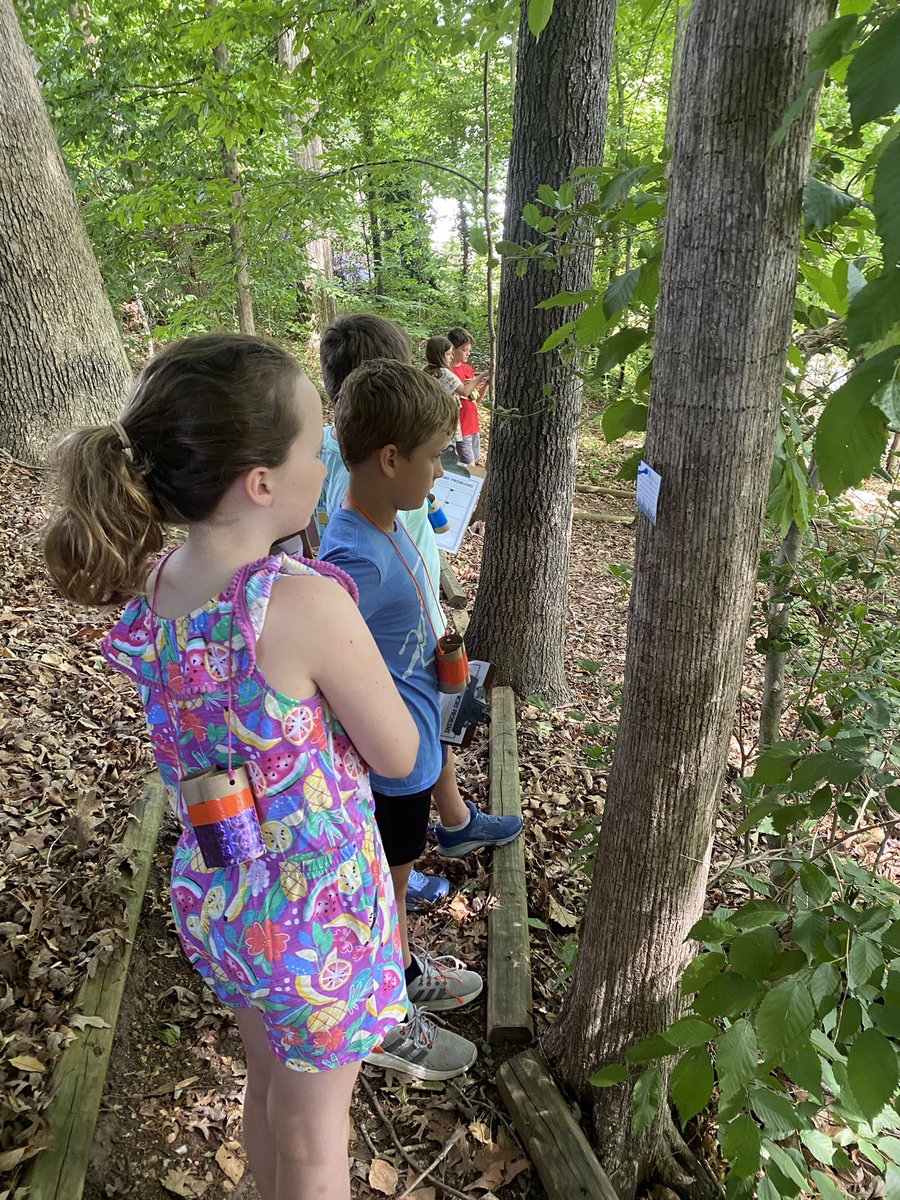 MsCumminsClass's tweet photo. Camp Cummins is on a math hike 🥾🔢👀 https://t.co/Qvpf4bDlfQ