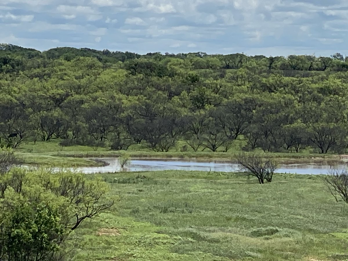 andersonranchtx's tweet photo. Anderson Ranch, TX .. God's Country... In all who He is, and in all that He has done.. We give God alone all the Praise &amp; Glory.. 

#Live4Jesus < We owe no other master. 👑🙏 https://t.co/tE1EMiIw7L
