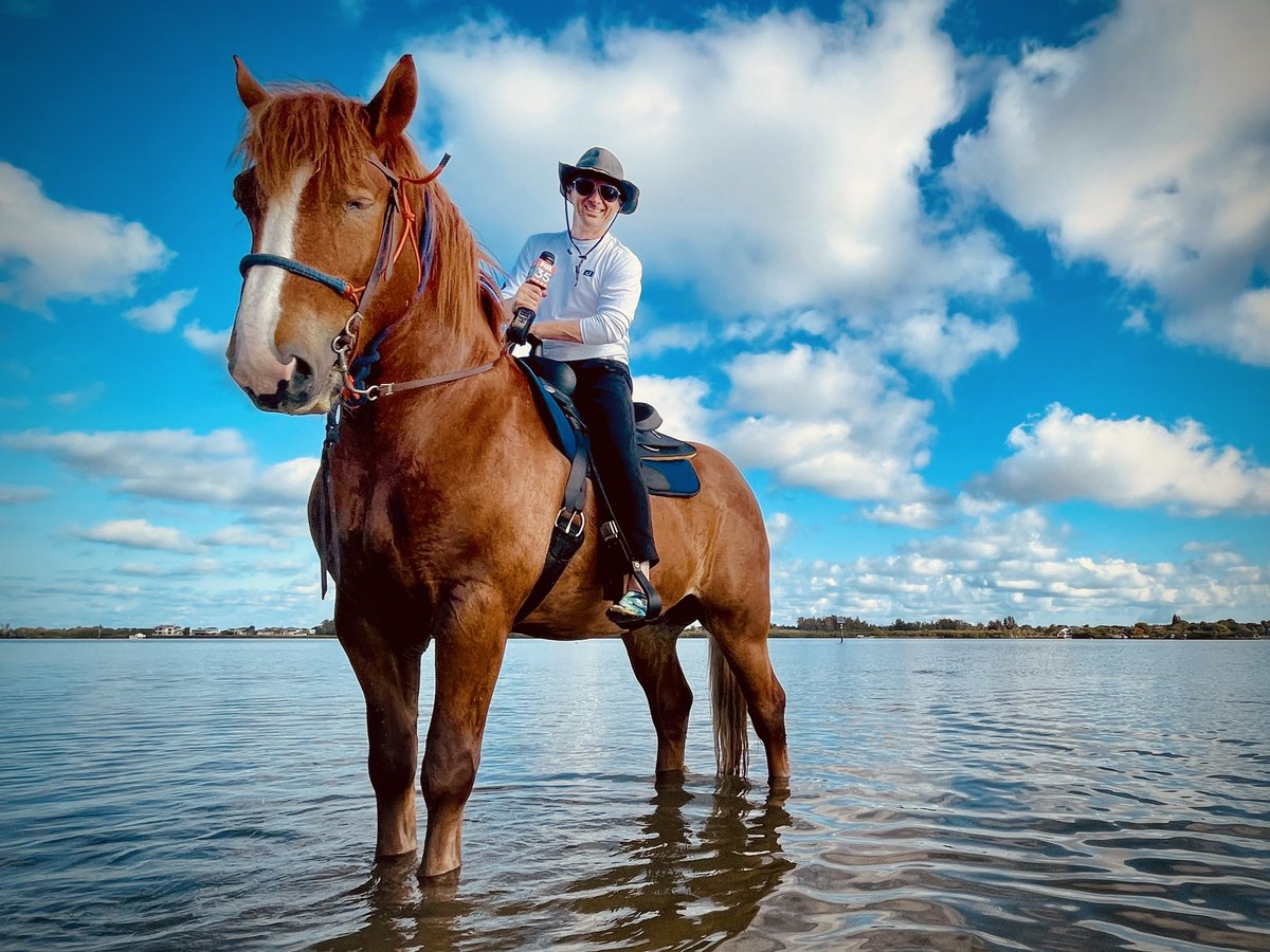 Riptide and I 10/10 recommend an unforgettable and gorgeous excursion called Florida Beach Horses. You can swim, surf, and body ski with majestic beauties in the Palma Sola Bay of Bradenton, Florida. I’ll have a full highlights report coming soon.
