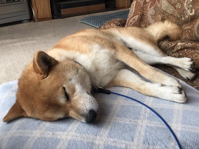 脚をクロスさせてセクシーな寝 