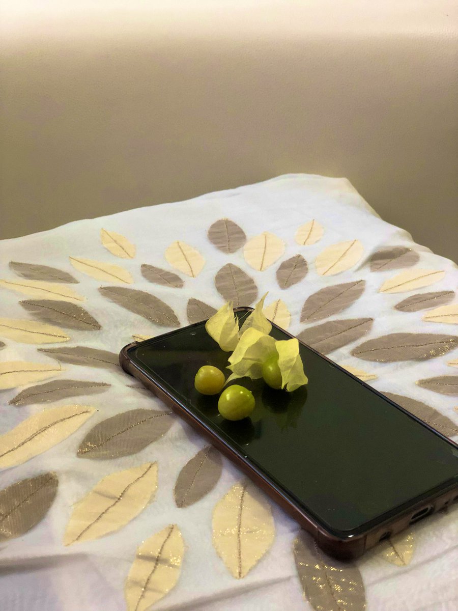 Буянтай хүний бяруу нь хүртэл тугаллана гэж... Хүнээс газрын алимны үр аваад цэцэгний савандаа тарьчихсан чинь ургаад ... Өдөрт 5-6 ш идэж байгаа. 😇