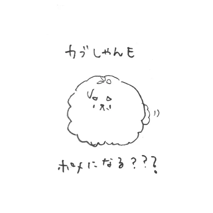 ポメョ… 