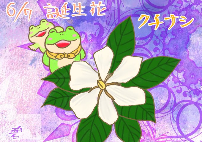 花言葉のtwitterイラスト検索結果