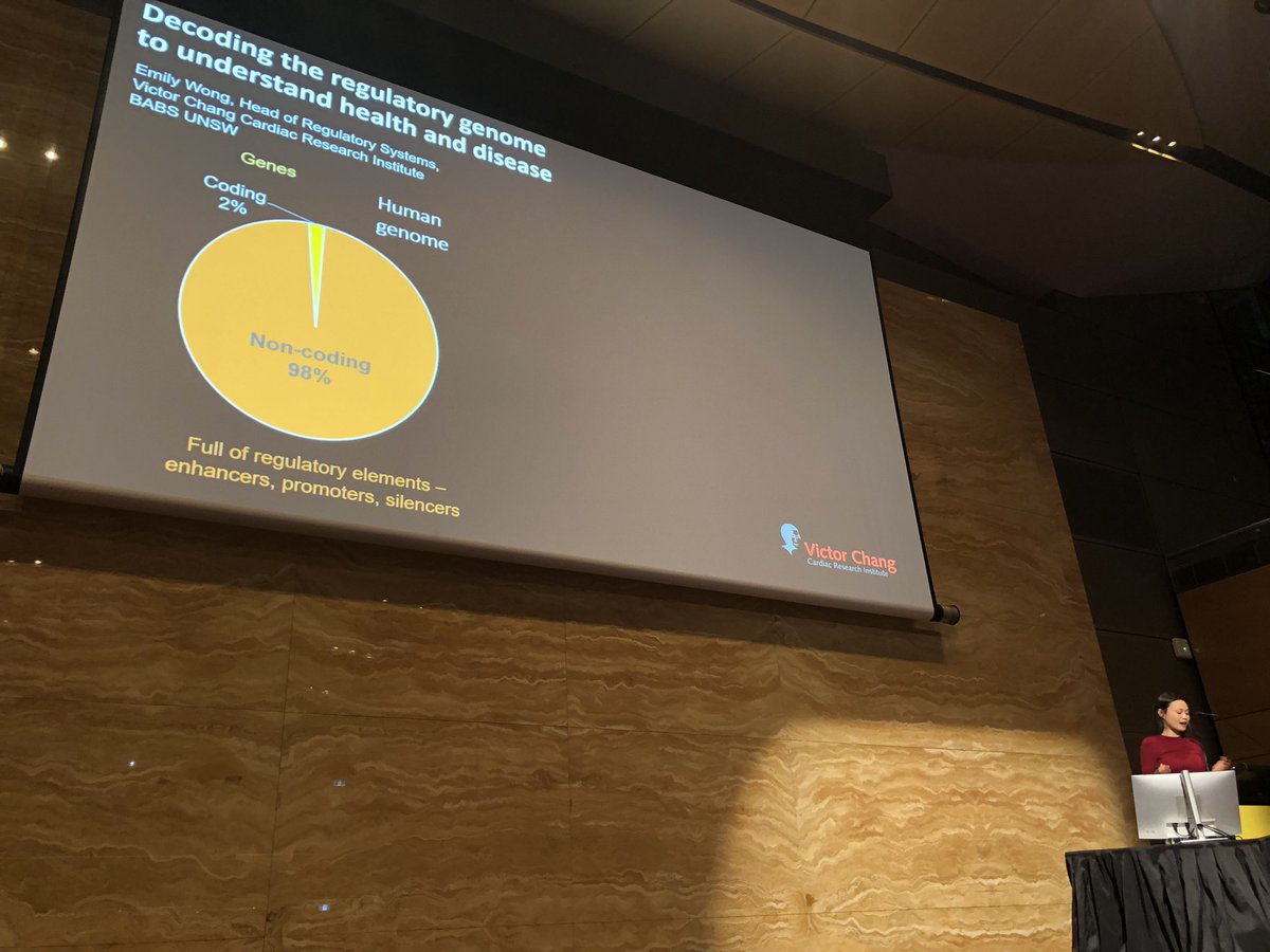 Dr Emily Vohralik tweet media