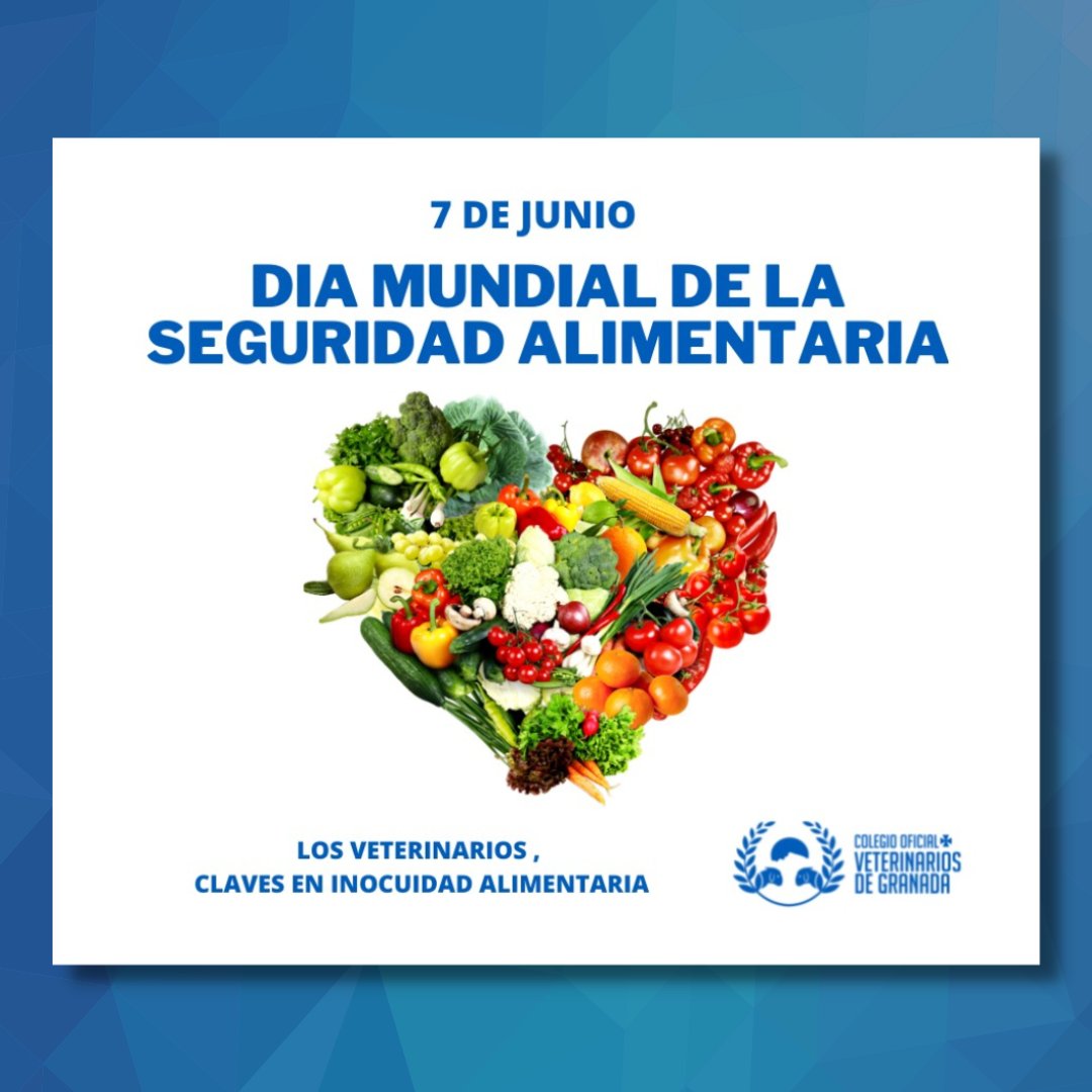 VeterinariosGRX's tweet photo. 𝗗𝗶́𝗮 𝗺𝘂𝗻𝗱𝗶𝗮𝗹 𝗱𝗲 𝗹𝗮 𝗦𝗲𝗴𝘂𝗿𝗶𝗱𝗮𝗱 𝗔𝗹𝗶𝗺𝗲𝗻𝘁𝗮𝗿𝗶𝗮🍎🥩🥬
#OneHealth #seguridadalimentaria #alimentos #veterinarios #gastronomía #alimentossaludables #controldealimentos #alimentación #comer #nutrición #salud https://t.co/Plkaoaxqvv