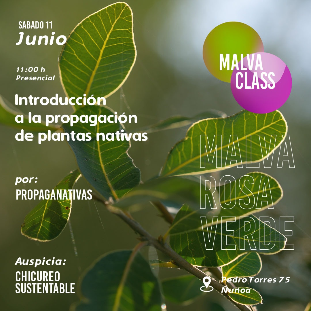 Este sábado 11 de junio estaremos dando este taller introductorio a la propagación de plantas nativas invitados por malva class. Para inscribirse o cualquier duda escribir a malvaclass@malvarosaverde.cl