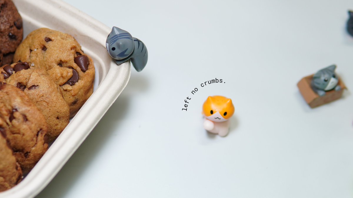 nocrumbscorner's tweet photo. Our ameowzing friends rolling out orders just purr you! 🐱🍪 https://t.co/WdaZZgpZ81