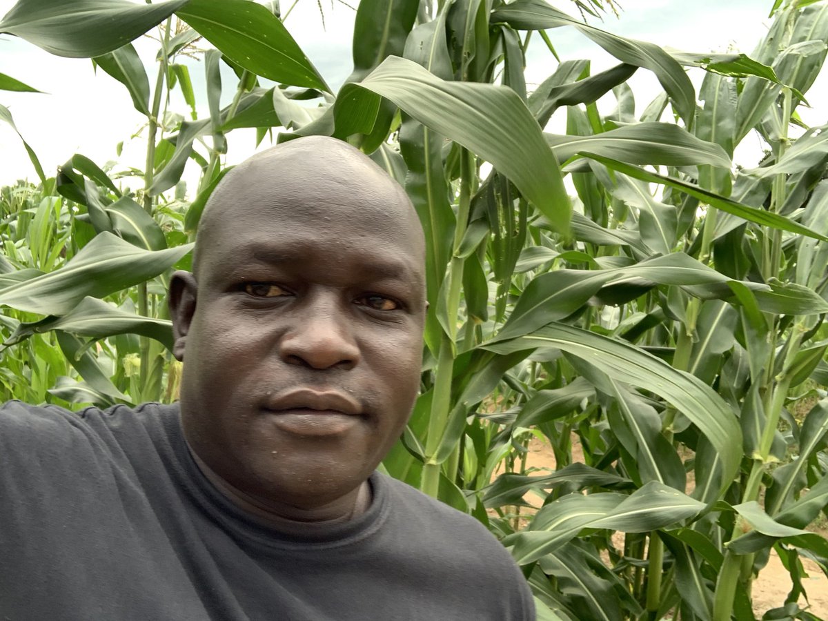 lmxblack's tweet photo. Food security exists when all people in a society have adequate food for an active, healthy life at all times. #Yei, #Morobo, #Lainya, counties should make use of the fertile soil as you are potentially known to be food basket for many. #letsgofarming https://t.co/nFTdc9zuLi